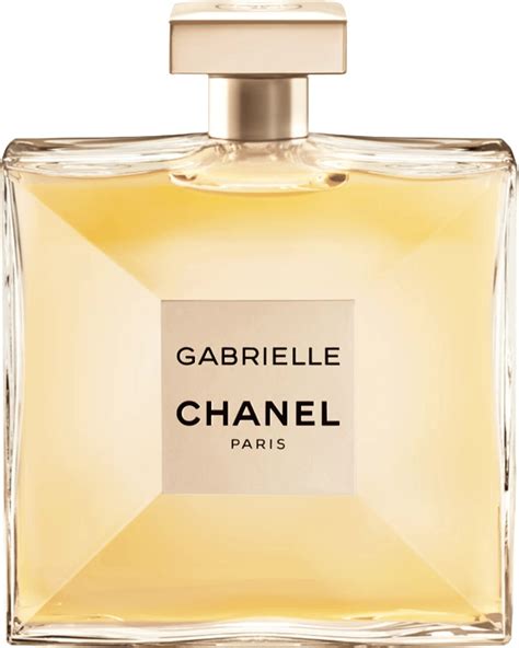 bio gabrielle chanel|Chanel gabrielle best price.